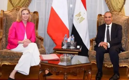 وزير الخارجية يشدد على ضرورة تنفيذ اتفاق وقف الحرب في غزة واستعادة الإعمار