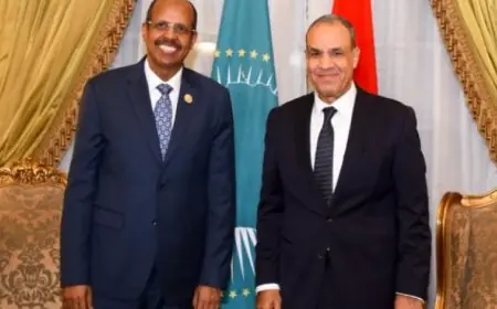 وزير الخارجية المصري يعزز دعم بلاده لمبادرات الاتحاد الأفريقي في حل النزاعات بالقارة