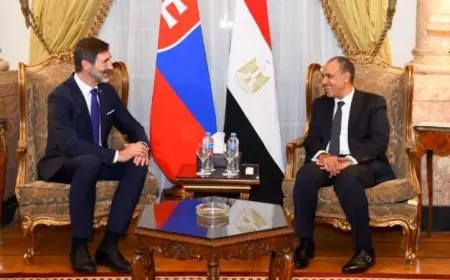 مصر وسلوفاكيا تعززان التعاون الاقتصادي والتجاري من خلال الشراكة الفعالة