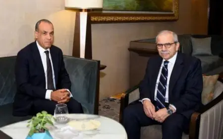 وزير الخارجية يشيد بنمو العلاقات المصرية اللبنانية ويؤكد على أهمية التعاون المشترك