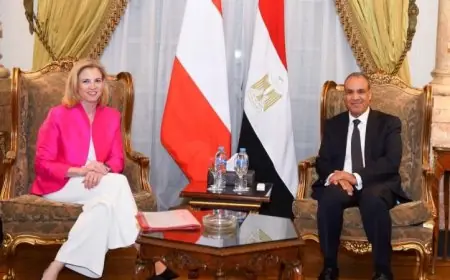 الخارجية تعلن عزمها على تعزيز العلاقات مع النمسا من خلال التعاون المستمر