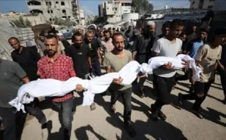 زيادة مروعة في عدد شهداء قطاع غزة تصل إلى 68865 شهيدا