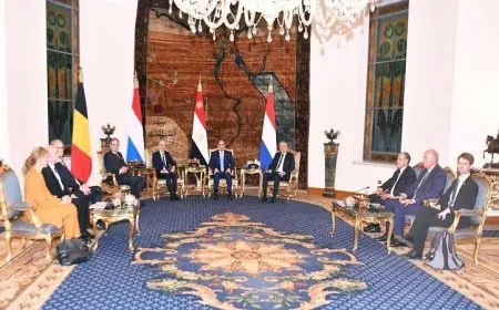 الرئيس السيسي يعزز العلاقات القوية بين مصر ودول البنلوكس