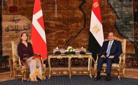 الرئيس السيسي يستعرض آفاق جديدة لتعزيز العلاقات الثنائية بين مصر والدنمارك
