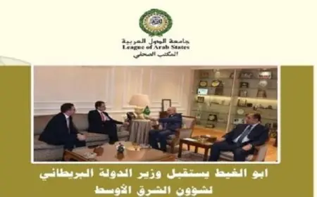 أبو الغيط يبرز دور المملكة المتحدة الحيوي في تعزيز جهود السلام