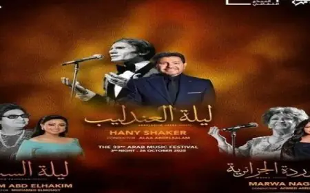 وزير الخارجية يؤكد عدم وجود حل عسكري للأزمة السودانية وأهمية الحفاظ على الدولة الوطنية