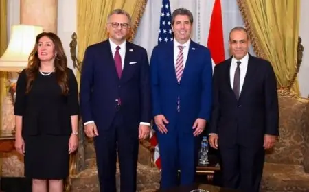 مصر تأمل في التزام ترامب بتحقيق رؤيته لانهاء الحروب في أفريقيا