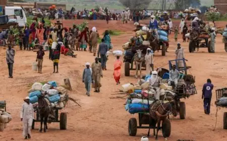 نزوح عشرات الآلاف من ولاية شمال كردفان السودانية بسبب تصاعد المعارك