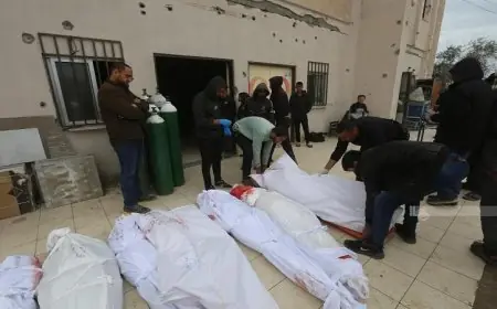 المصادر الطبية في فلسطين تكشف عن تسليم الاحتلال الإسرائيلي 45 جثمانا لشهداء من قطاع غزة