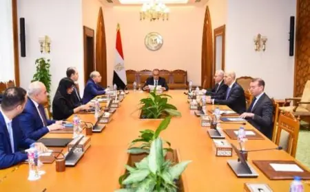 وزير الخارجية المصري يبرز أهمية تعزيز وتطوير العلاقات مع الدول الآسيوية