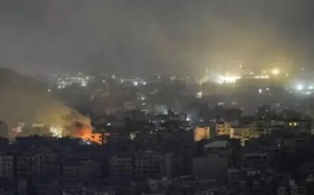 الجيش الإسرائيلي يعلن عن تصفية عنصرين من حزب الله بينهم قائد بارز في قوة الرضوان