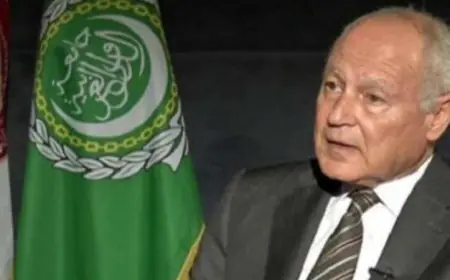 أبوالغيط يتباحث مع مستشار الرئيس الأمريكي بشأن آخر مستجدات الأوضاع في السودان