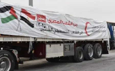 قافلة زاد العزة تسهم في تقديم المساعدات الإنسانية لقطاع غزة