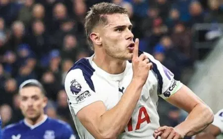 توتنهام يكتسح إيفرتون وينافس أرسنال على صدارة الدوري بفيديو ملحمى