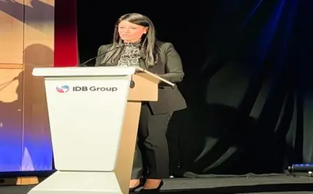 الأمم المتحدة تطالب بزيادة الجهود العالمية لوقف العنف في دارفور