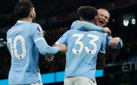 هالاند يعادل إنجاز فاولر ويقترب من تحقيق رقم سواريز القياسي