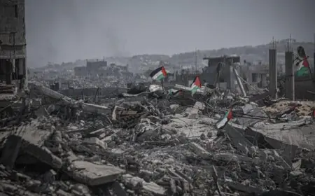 منظمة الأغذية والزراعة الأممية تحذر من أزمة إنسانية وزراعية قاسية في غزة