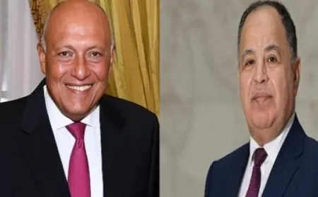 اليابان تكرم سامح شكري ومحمد معيط بوسام الشمس المشرقة تقديراً لإسهاماتهما المميزة