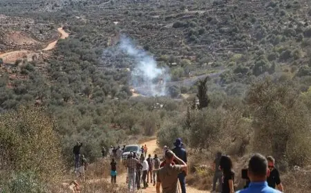 هجوم مستوطنين إسرائيليين على قاطفي الزيتون في عقربا جنوب نابلس