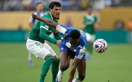 بالميراس يفقد فرصة ذهبية لتوسيع فارق الصدارة في الدوري البرازيلي