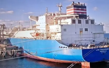 مصر تصدر 150 ألف متر مكعب من الغاز المسال إلى تركيا لصالح شركة توتال إنيرجيز