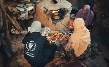 الأغذية العالمية توصل طرود غذائية لمليون شخص في غزة منذ بدء وقف إطلاق النار