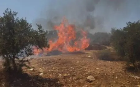 اقتحام الاحتلال لمخيم الفوار واعتداء المستوطنين بإشعال النيران في أراضٍ زراعية جنوب نابلس