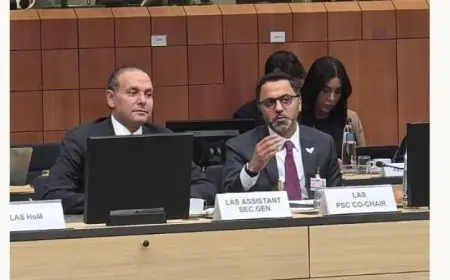 الاتحاد الأوروبي والجامعة العربية يعززان التعاون من خلال الحوار السياسي العاشر