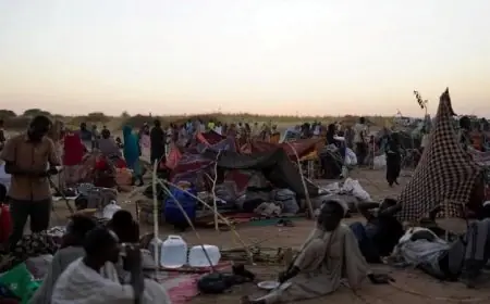 الأمم المتحدة تنبه لزيادة أزمة الجوع في السودان وتحذر من تفاقم الوضع