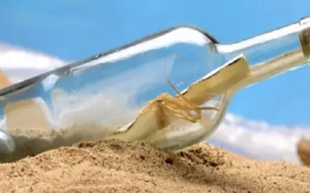 اكتشاف رسالة قديمة تعود لـ109 سنوات داخل زجاجة على شاطئ أسترالي