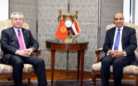 عبد العاطي يناقش مع وزير خارجية قيرغيزستان تعزيز آفاق التعاون الثنائي