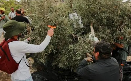 سندرلاند يهزم تشيلسي ونيوكاسل يتفوق على فولهام بهدفين مقابل هدف في الدوري الإنجليزي الممتاز