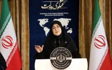 الخارجية الإيرانية تعلن عن الإفراج المشروط عن ثنائي فرنسي من السجن