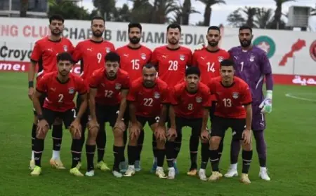 اللجنة الفنية في اتحاد الكرة تؤكد صحة تصريحات حلمي طولان وتدعو للحفاظ على هوية المنتخب