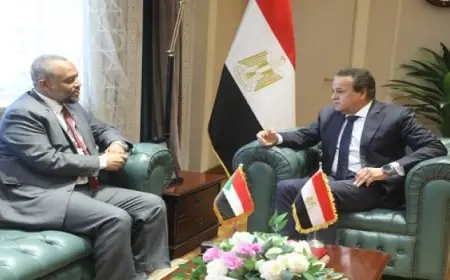 وزير الكهرباء يقود الاجتماع الافتتاحي للجهاز التنفيذي لمشروعات المحطات النووية