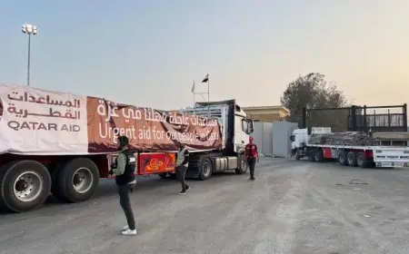 عبور دفعة جديدة من المساعدات القطرية إلى غزة عبر معبر رفح صور حصرية