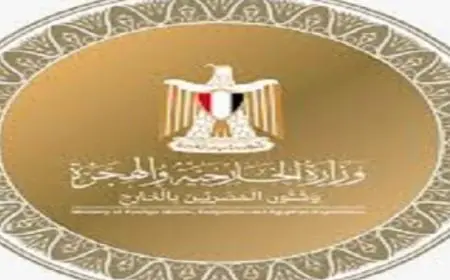 الخارجية المصرية تعلن جاهزية البعثات الدبلوماسية لمتابعة انتخابات مجلس النواب القادمة