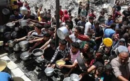 مكتب الإعلام بغزة يكشف تفاصيل صادمة حول دخول 28% فقط من المساعدات الإنسانية المقررة من الاحتلال