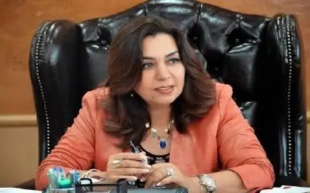 وزيرة التنمية تكشف عن دراسة مصر لإنشاء مركز إقليمي للطوارئ يربط بين الصين وإفريقيا