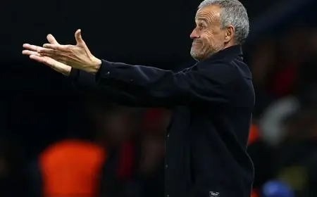 لويس إنريكي يؤكد منح بايرن ميونيخ هدايا قيمة خلال المباراة