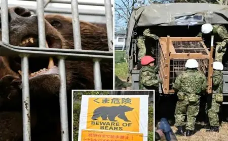 ارتفاع عدد الشهداء والجرحى في عدوان غزة إلى 68280 شهيدا و170375 مصابا