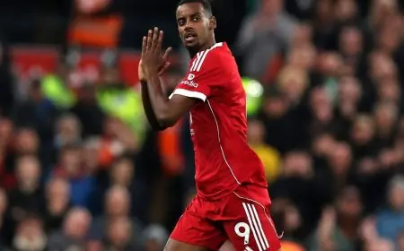 بوتر يستدعي ألكسندر إيزاك المصاب ضمن قائمته الأولى لقيادة منتخب السويد