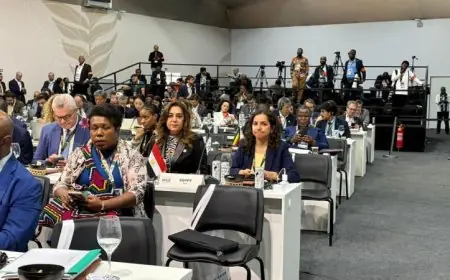 وزيرة التنمية المحلية تطالب بإعادة إحياء روح مؤتمر باريس لتعزيز العدالة والثقة