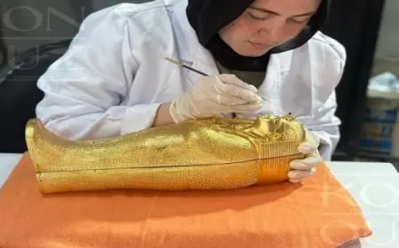 مصر تحتفي بافتتاح المتحف عبر فعالية فنية مستوحاة من تابوت الملك الذهبي