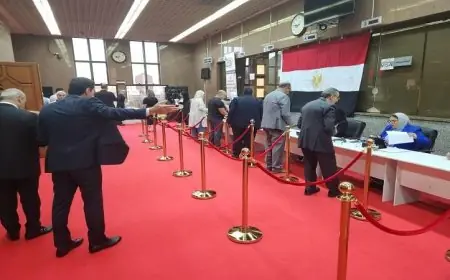 سفيرنا في النمسا يكشف عن سير العملية الانتخابية بسلاسة مع توقعات بزيادة الإقبال على التصويت