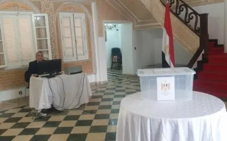 انطلاق اليوم الثاني للتصويت للمصريين في نيوزيلندا ضمن انتخابات مجلس النواب 2025