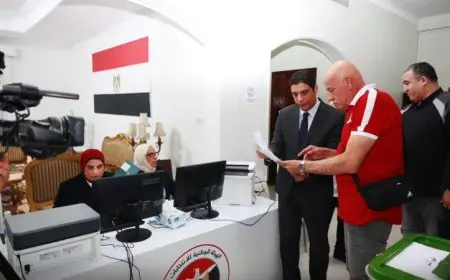 إغلاق صناديق الاقتراع في فرنسا مع انطلاق انتخابات مجلس النواب 2025 للمغتربين