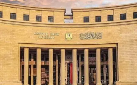 ارتفاع قياسي بنسبة 47.2% في تحويلات المصريين العاملين بالخارج خلال الثمانية أشهر الأولى من 2025
