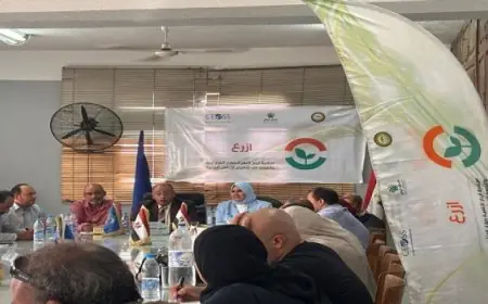 إطلاق الموسم الرابع لمبادرة ازرع لدعم زراعة 250 ألف فدان من القمح