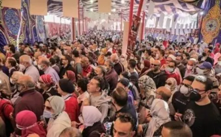 الأهلي يوفر أتوبيسات مجانية لنقل الأعضاء للمشاركة في الانتخابات المقبلة